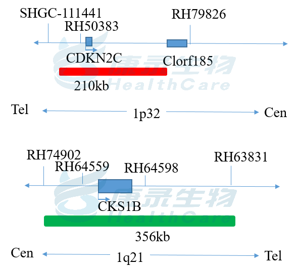 中国·拉斯维加斯(3499·官方认证)网站-Officialwebsite